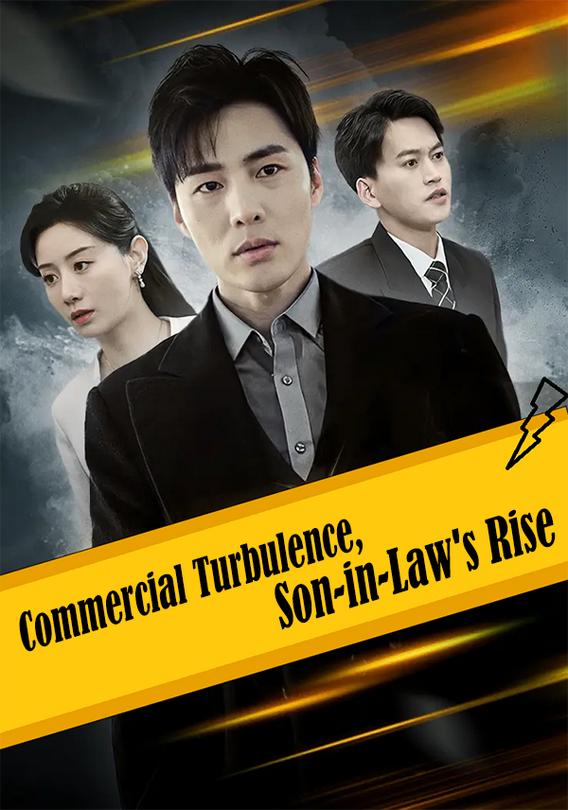 Commercial Turbulence, Son-in-Law's Rise