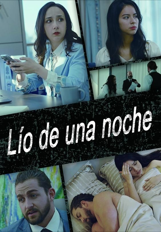 Lío de una noche