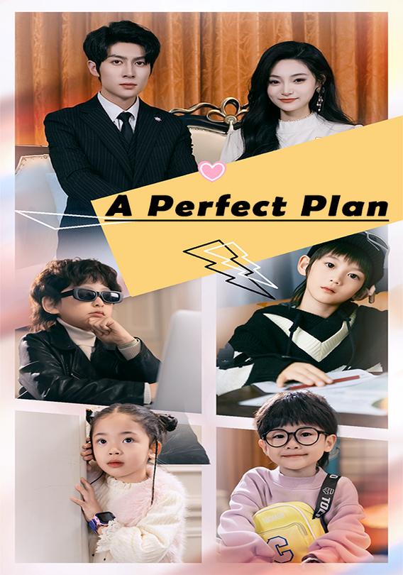 A Perfect Plan